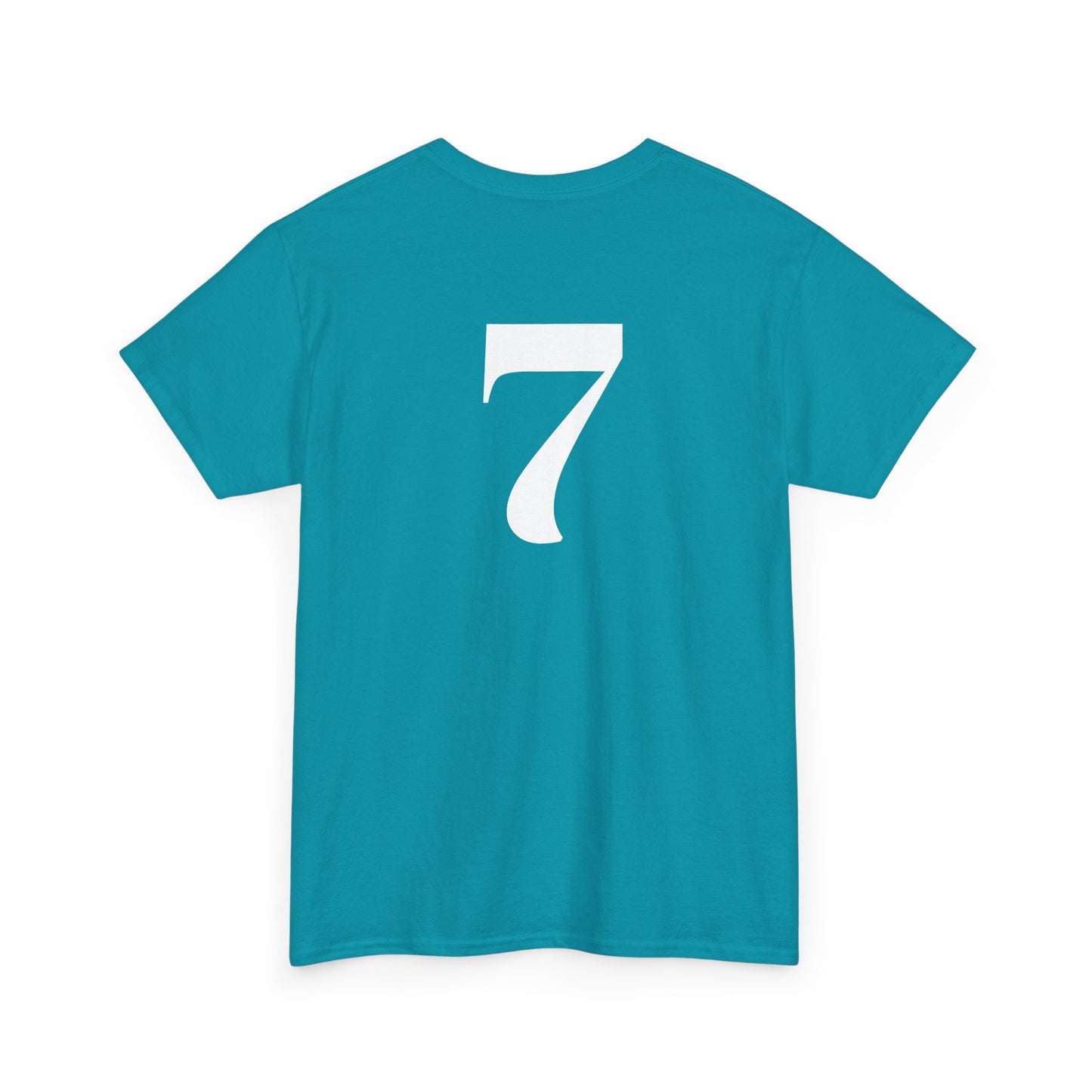 Been There Done That Unisex Heavy Cotton Tee