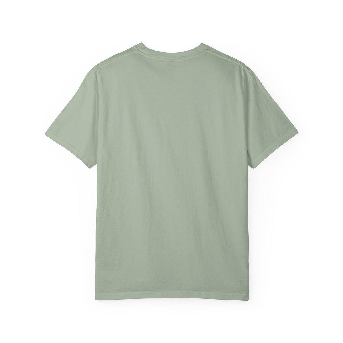 Brooklyn Street Sign T-Shirt — Franklin Ave & Bergen St Little Panama Graphic Tee