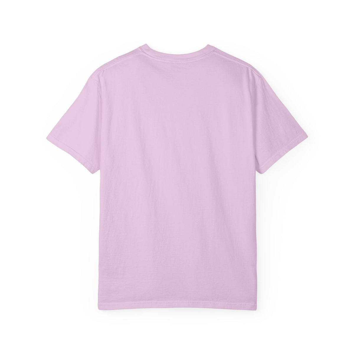 Brooklyn Street Sign T-Shirt — Franklin Ave & Bergen St Little Panama Graphic Tee