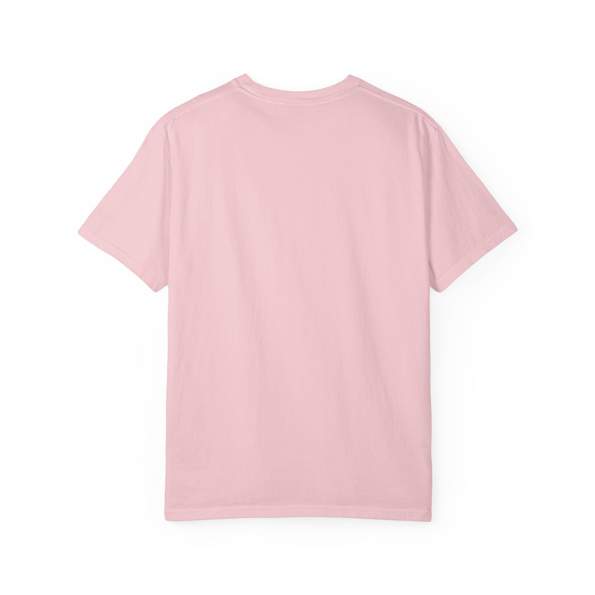 Brooklyn Street Sign T-Shirt — Franklin Ave & Bergen St Little Panama Graphic Tee