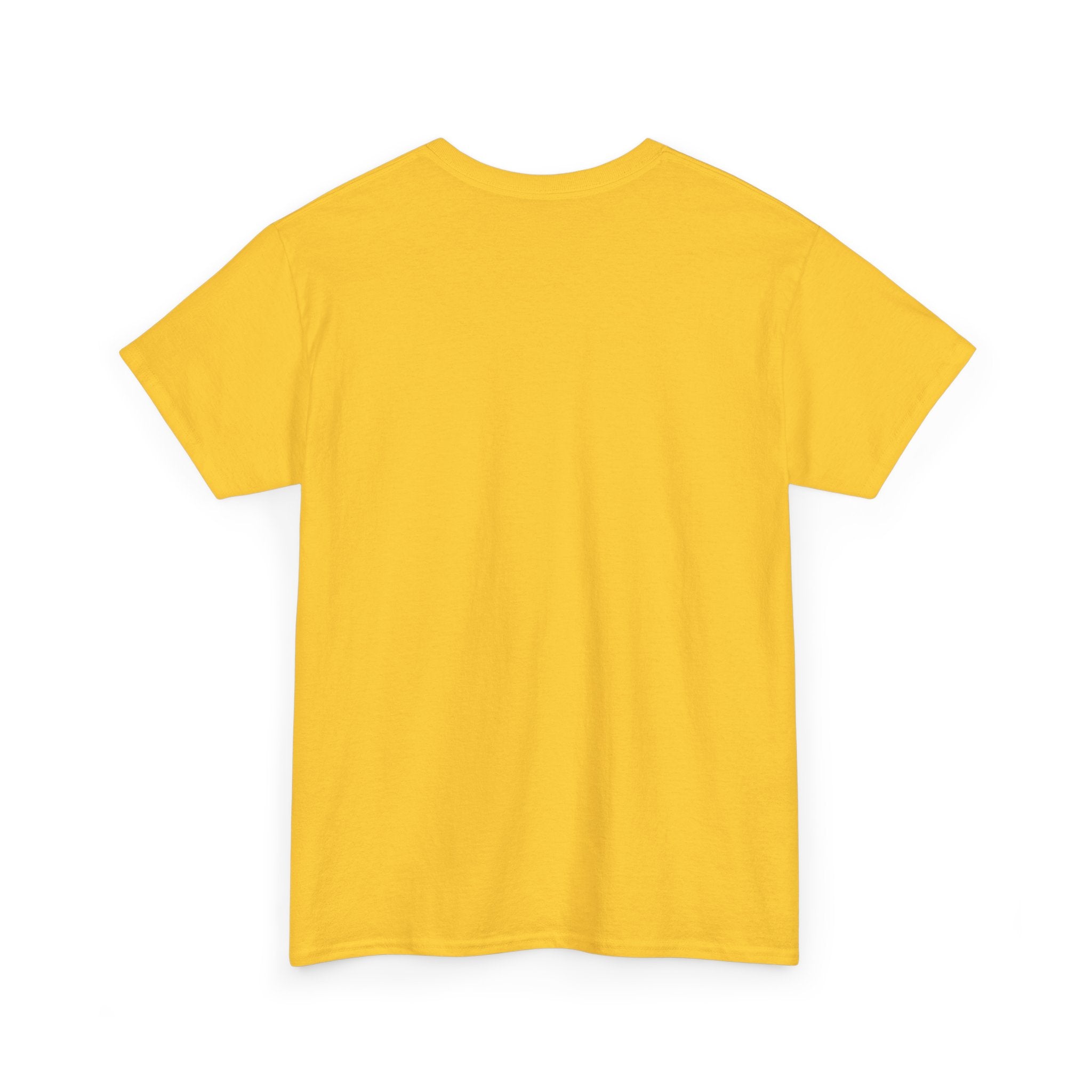 Army Veteran Unisex Heavy Cotton Tee
