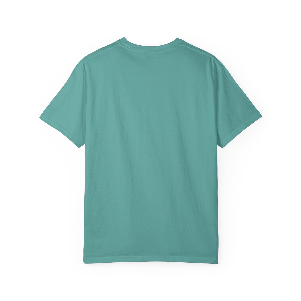 Brooklyn Street Sign T-Shirt — Franklin Ave & Bergen St Little Panama Graphic Tee