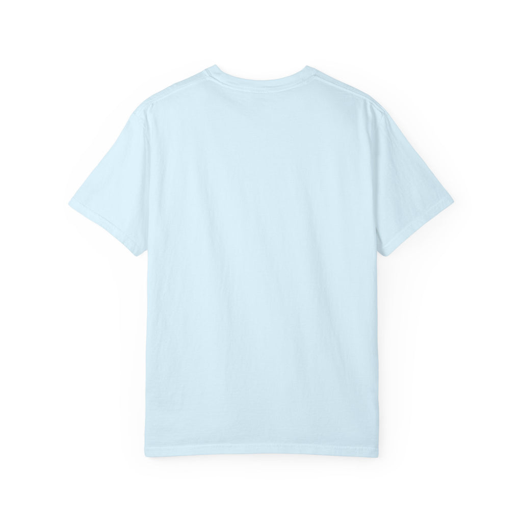 Brooklyn Street Sign T-Shirt — Franklin Ave & Bergen St Little Panama Graphic Tee