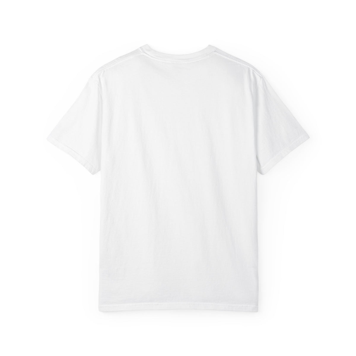 Brooklyn Street Sign T-Shirt — Franklin Ave & Bergen St Little Panama Graphic Tee